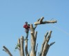 Disa Str - Hermanus - 032_s